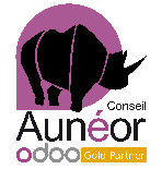 www.auneor-conseil.fr